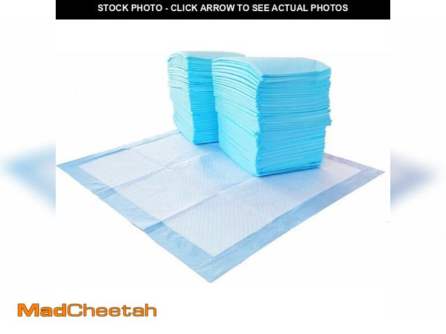 Lot 74-13041177 - Basics Scented Dog and Puppy Pee Pads, 5-Layer Leak-Proof Super Absorbent, Quick-Dry Surface, Potty ...