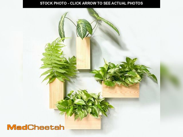 Lot 74-12604603 - LaLaGreen Wooden Planter Box for Plants (4 Pack) Natural Wood Hanging Wall Planters for Indoor Plant...