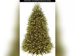 Lot 74-12170127 - undefined