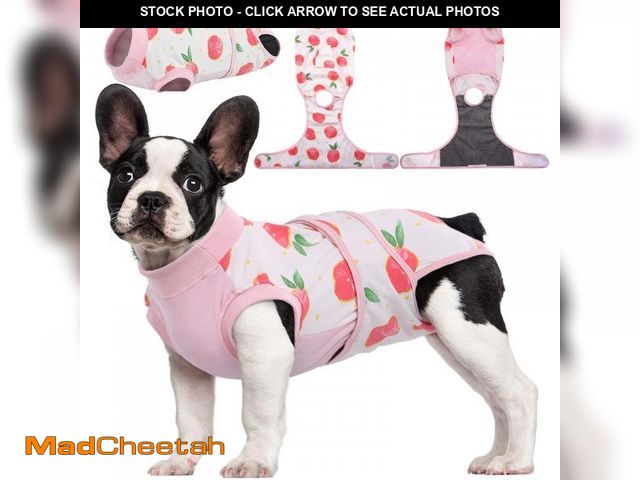 Lot 74-12438285 - Kuoser Recovery Suit for Dogs Cats After Surgery, Professional Pet Recovery Shirt Dog Abdominal Woun...