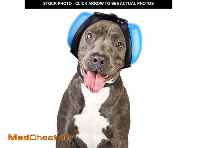 Lot 74-12306397 - Famikako Dog Ear Muffs for Noise (M, Blue) - USED