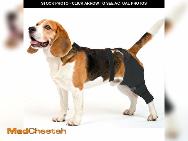 Lot 74-14268841 - Joypig Dog Rear Leg Sleeve to Stop Licking, Hind Leg Protector for TPLO Recovery, ACL Surgery, Wound...