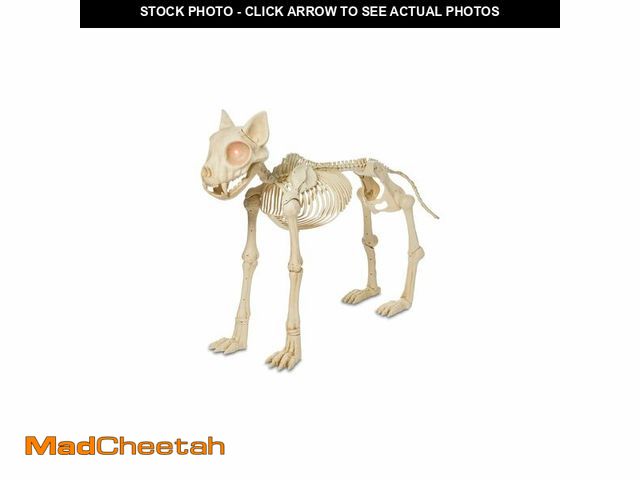 Lot 74-12884764 - White Animated Plastic Skeleton Cat, 5ft Halloween Decoration - UNUSED