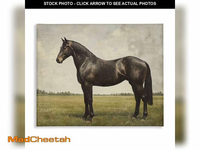 Lot 74-13788634 - Stupell Industries Espresso Horse Portrait Canvas Wall Art design by Petal Prints Design, 36 x 48 - ...