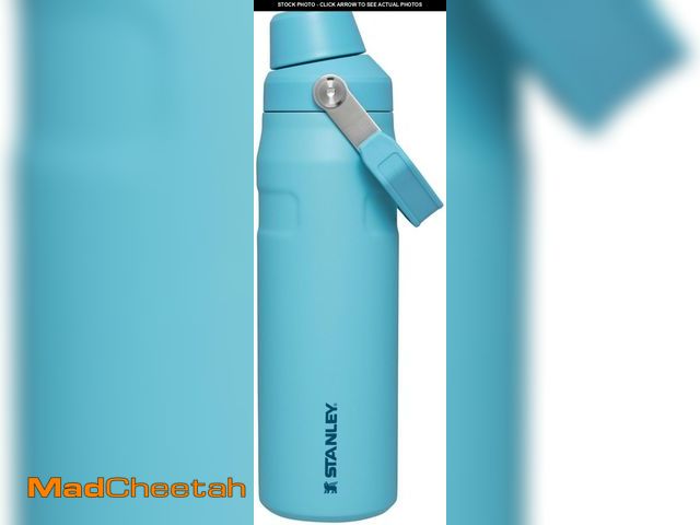 Lot 74-12442635 - Stanley IceFlow Fast Flow Water Bottle 24 oz | Angled Spout Lid | Lightweight and Leakproof for Trav...