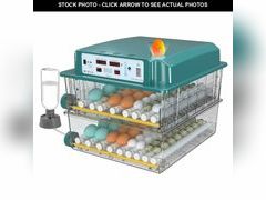 Lot 74-13563798 - undefined