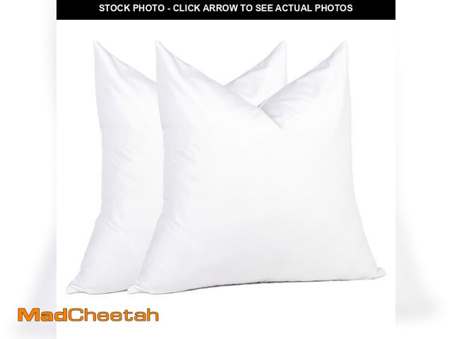 Lot 74-14384321 - puredownÃÂ® Natural Feather Down Throw Pillow Inserts 20 x 20 (Set of 2, White), DÃÂ©cor Pillow fo...