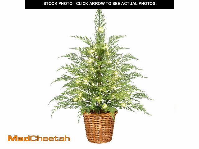 Lot 74-12860444 - 24" Pre-Lit Green Cypress Artificial Christmas Tree with 30 Warm White Twinkle LED Lights, by My Tex...