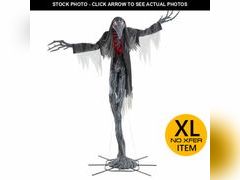 Lot 74-12899754 - undefined