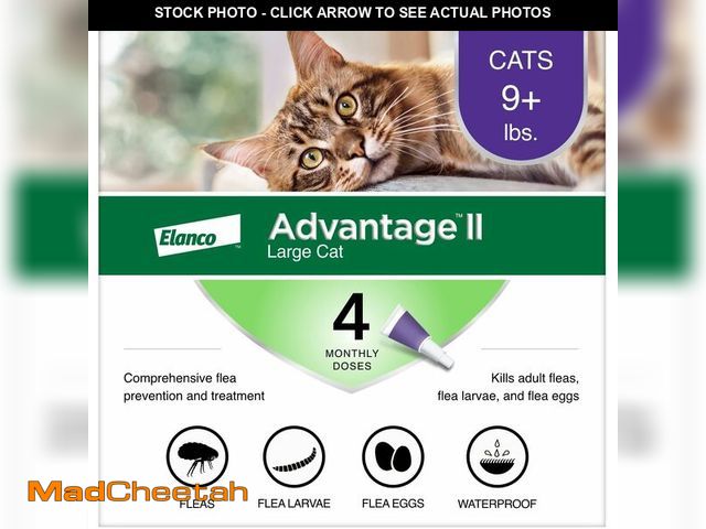 Lot 74-14377613 - Advantage II Large Cat Vet-Recommended Flea Treatment &amp; Prevention | Cats Over 9 lbs. | 4-Month ...