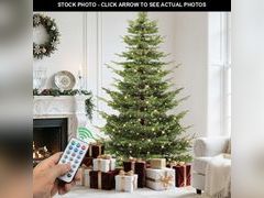 Lot 74-13419834 - undefined