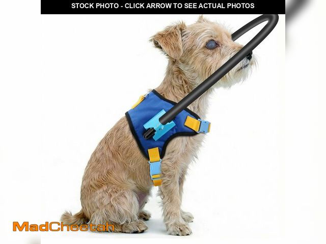 Lot 74-14428588 - LetPetRun Protective Dog Halo for Blind Dogs, Adjustable Protective Ring Harness for Visually Impair...