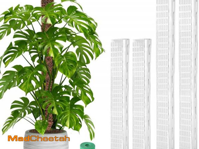 Lot 74-12325953 - EOX 4 Pack 24" x2 + 36" x2 Plastic Moss Pole for Monstera, Large D Shaped Poles for Climbing Plants ...