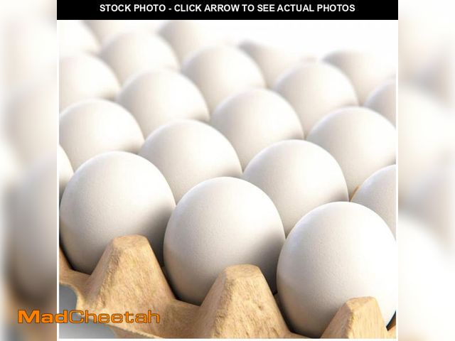 Lot 74-11547788 - CALPALMY 24 Pieces Hyper-Realistic White Wooden Eggs - 2 Dozen Fake Easter Eggs for Painting, Decora...