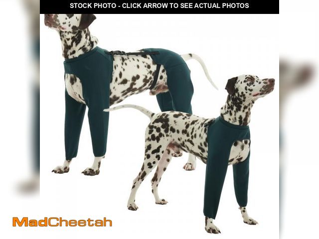 Lot 74-12312404 - ROZKITCH Dog Surgery Recovery Suit to Prevent Licking, Elbow and Knee Protection for Four Legs, Prev...