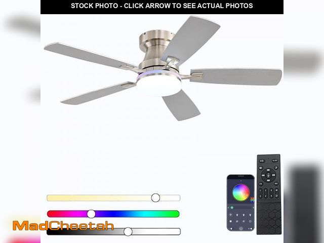 Lot 74-12047748 - Ayaoty Ceiling Fans with Lights, 48 inch Low Profile Ceiling Fan with Light and Remote Control, Flus...