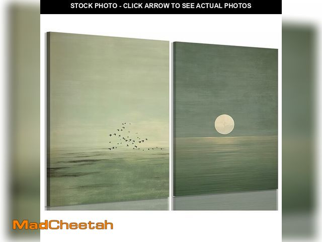 Lot 74-14293647 - 2Pcs Japanese Sage Green Wall Art Minimalist Moon and Bird 12X16in Framed - USED