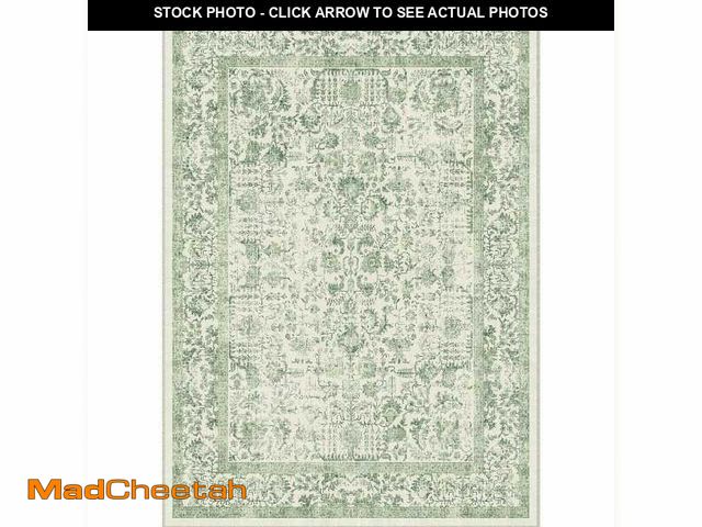Lot 74-14360691 - HaiiMeid Entomology Green 8 ft. x 10 ft. Vintage Floral Area Rug - UNUSED