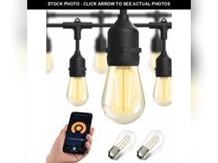 Lot 74-12848569 - undefined