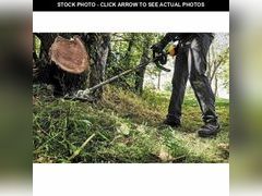 Lot 74-12797544 - undefined