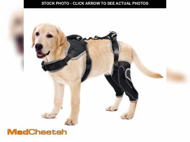 Lot 74-12432362 - Adjustable Knee Brace for Dogs Back Leg, Hinged Dog Knee Brace for Torn ACL Hind Leg, Dog Knee Brace...