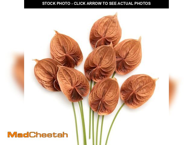 Lot 74-13951830 - Ling's Moment Artificial Anthurium Flowers, 8pcs Terracotta Faux Greenery Stems, Burnt Orange Silk F...
