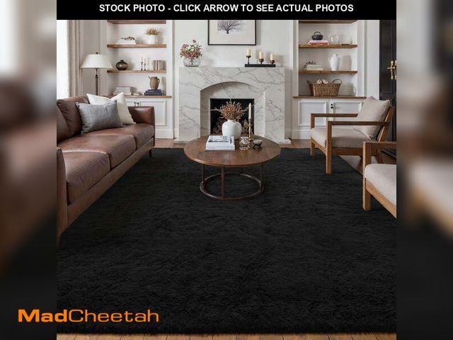 Lot 74-12832524 - BERTHMEER 8'x10' Area Rugs for Living Room Bedroom Dinning Room Ultra-Soft Shag Plush Pile Fluffy In...