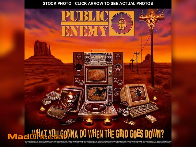 Lot 74-12718847 - What You Gonna Do When The Grid Goes Down?[LP] - UNUSED