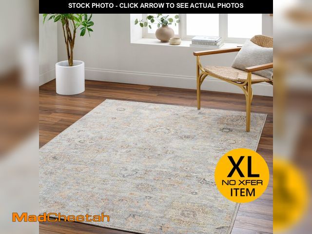 Lot 74-12784894 - Livabliss x Our PNW Home Olympic Updated Traditional Area Rug, 9'2" x 12', Pale Blue - UNUSED