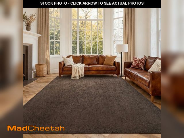 Lot 74-14147288 - FinReÃâ¬c 6x9 Washable Area Rugs for Bedroom Living Room, Low Pile Thin Rug Solid Color, Non-Slip ...