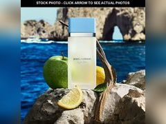 Lot 74-13666433 - undefined