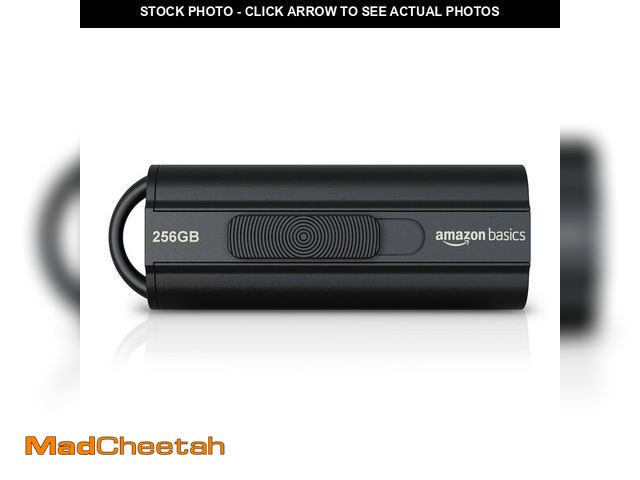 Lot 74-13540557 - Basics 256 GB Ultra Fast USB 3.1 Flash Drive, High Capacity External Storage for Photos Videos, Retr...