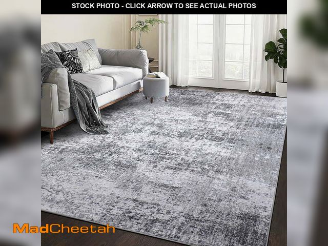 Lot 74-12837064 - BERTHMEER 5' x 7' Modern Area Rugs indoor Neutral Gray Abstract Rugs for Living Room Bedroom Dining ...