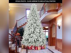 Lot 74-13097393 - undefined