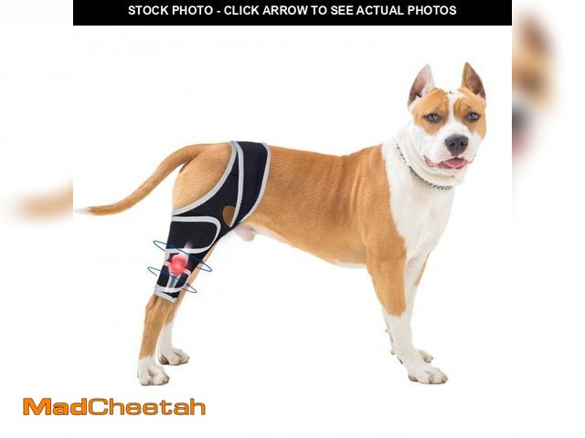 Lot 74-12435185 - Dog Knee Brace for Torn Acl Hind Leg - Protect Dog's Joints,Adjustable Front Back Leg Support Bracke...