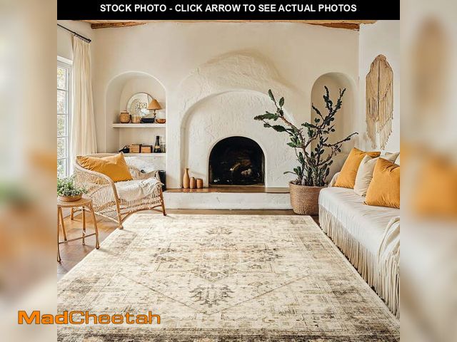 Lot 74-13044163 - CHITOOMA 8'x10' Boho Area Rugs for Living Room, Machine Washable Area Rug with Non-Slip Backing, Sta...