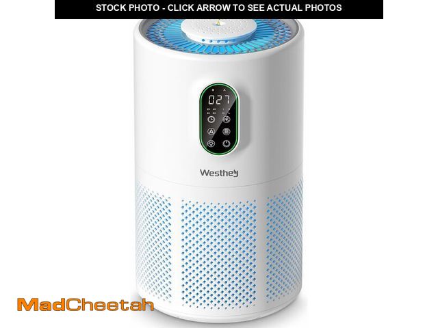Lot 74-12969095 - Air Purifiers for Home Large Room up to 1650 ftÃÂ², WESTHEY H13 True HEPA Air Purifier for Bedroom ...