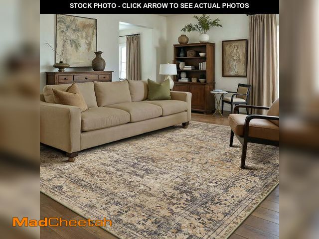 Lot 74-12849654 - BERTHMEER 8'x10' Area Rugs for Living Room Vintage Brown Rugs for Bedroom Office Machine Washable La...