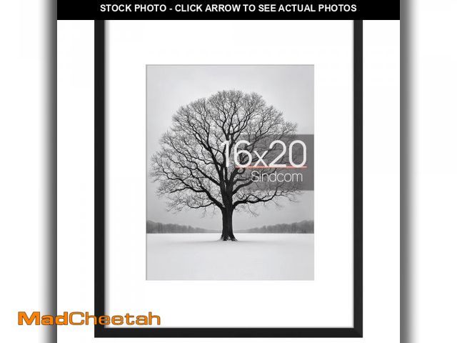 Lot 74-12515534 - Sindcom 16x20 ABS Picture Frames, Gallery Wall Poster Frames Set of 5, Black - UNUSED