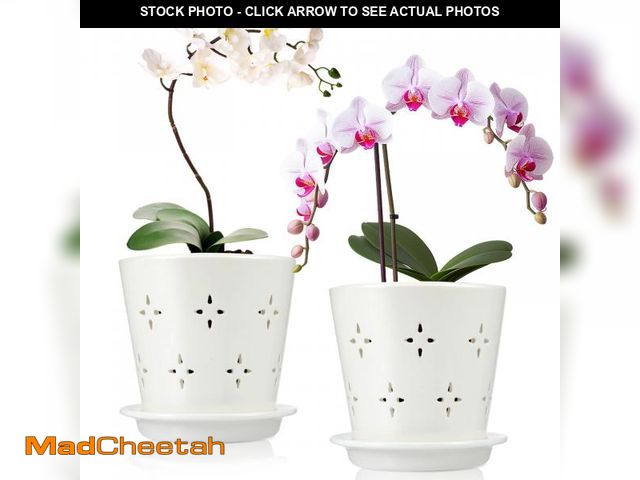 Lot 74-11557112 - Suclain 2 Pcs 5 Inch Ceramic Orchid Pots with Holes Outdoor Indoor Orchid Planter Pot with Drainage ...