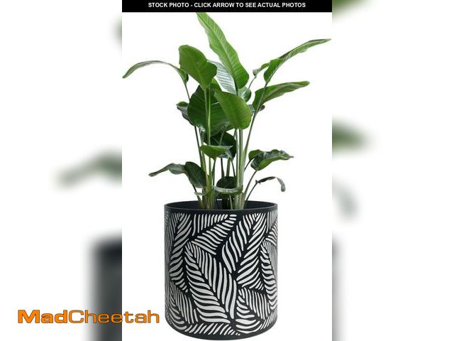 Lot 74-12522343 - fuxuiwy Flower Pot 12 Inch Without Stand Indoor Plant Pots for Home Garden Patio Office(Leaf Black) ...
