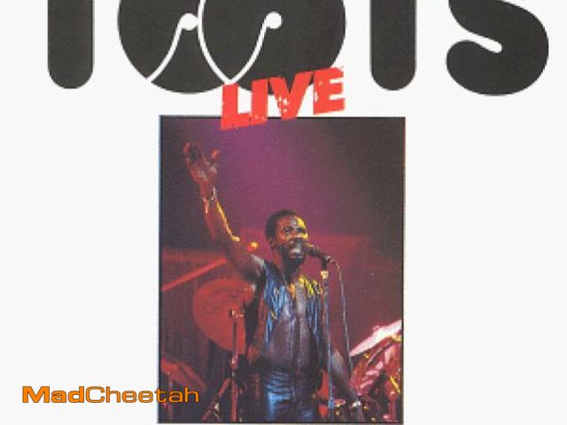Lot 74-11552895 - Live: Toots &amp; Maytals - UNUSED