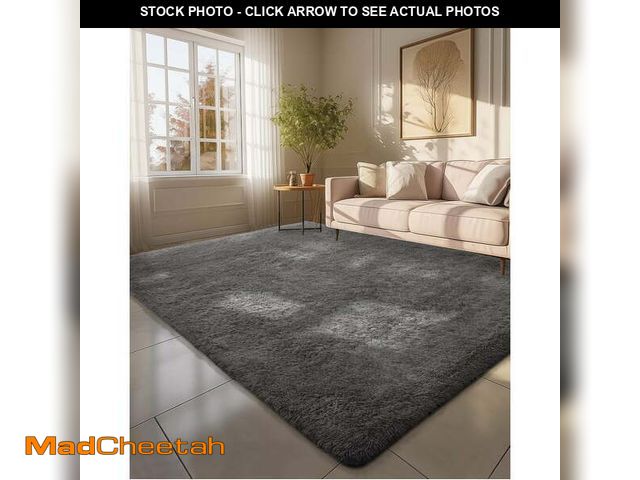 Lot 74-12549643 - Cshidworld Ultra Soft Rug for Living Room, 8X10 Fluffy Area Rug for Bedroom, Modern Shaggy Carpets F...