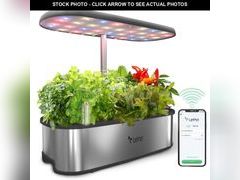 Lot 74-13269639 - undefined