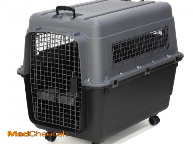 Lot 74-12341222 - SportPet Designs Plastic Airline Approved Kennels Wire Door Travel Dog Crate, X-Large - UNUSED