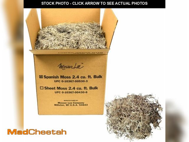 Lot 74-13733887 - Mosser Lee Spanish Moss - Natural Decorative Moss for Houseplants, Soil Cover, Crafts, Terrariums &a...