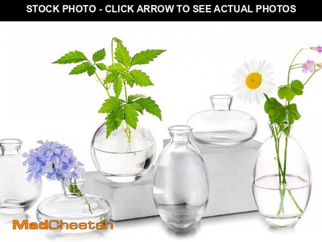 Lot 74-12307141 - Glass Bud Vases Set of 6, Hewory Cute Clear Small Vases Handmade, Mini Glass Flower Vase for Floral ...