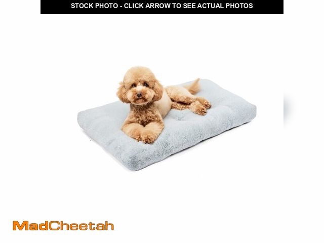 Lot 74-14378334 - Basics Medium Dog Bed for Crate, Washable Medium Dog Mat for Pet Kennel, Anti-Slip, 36x23x3.5 Inches...