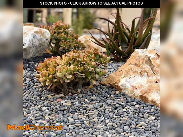 Lot 74-13770453 - Yard Element- Rock for Gardens, Landscapes and Ponds - UNUSED