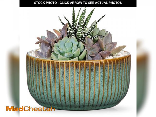 Lot 74-12311658 - Plant Pots Indoor with Drainage Hole 6 inch Ceramic Plant Pot Grey Blue Succulent Pot Small Round Pl...
